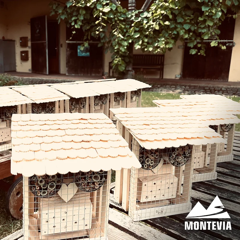 building an insect hotel